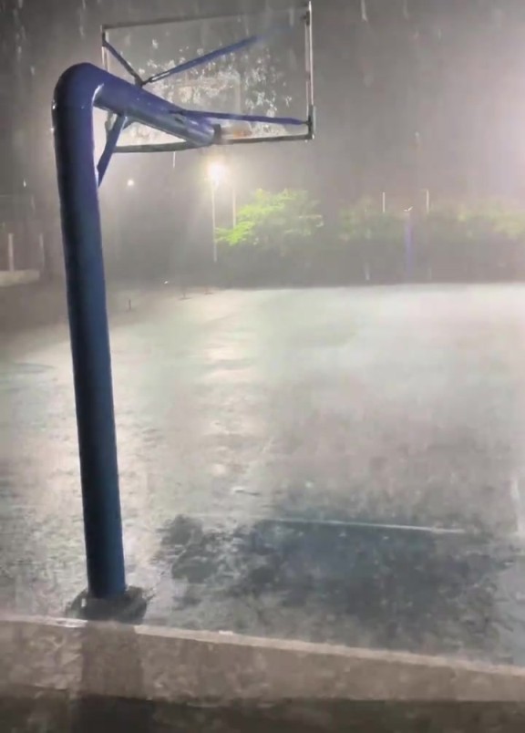 到底是哪个王八蛋发的誓,让我们这些单身狗淋雨???